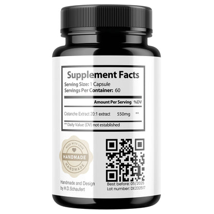 Cistanche tubulosa – Traditionelles Pflanzenextrakt für Vitalität & Wohlbefinden